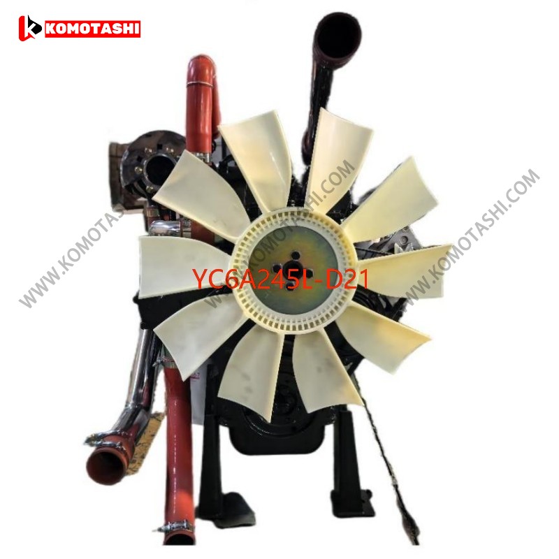 YC6A245L D21 2